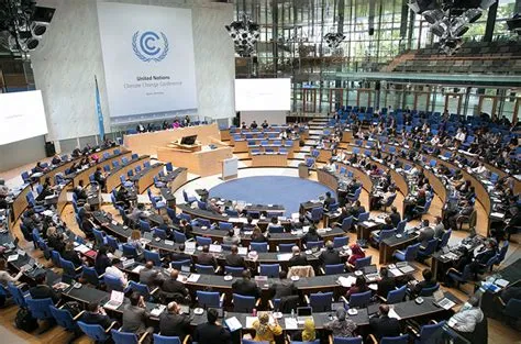 Die Amazonien-Konferenz: Ein Triumph des Umweltschutzes und eine Lektion für die globale Politik