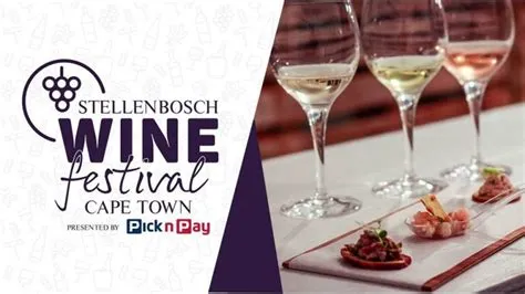  Der Stellenbosch Wine Festival: Ein Fest des Geschmacks und der kulturellen Vielfalt